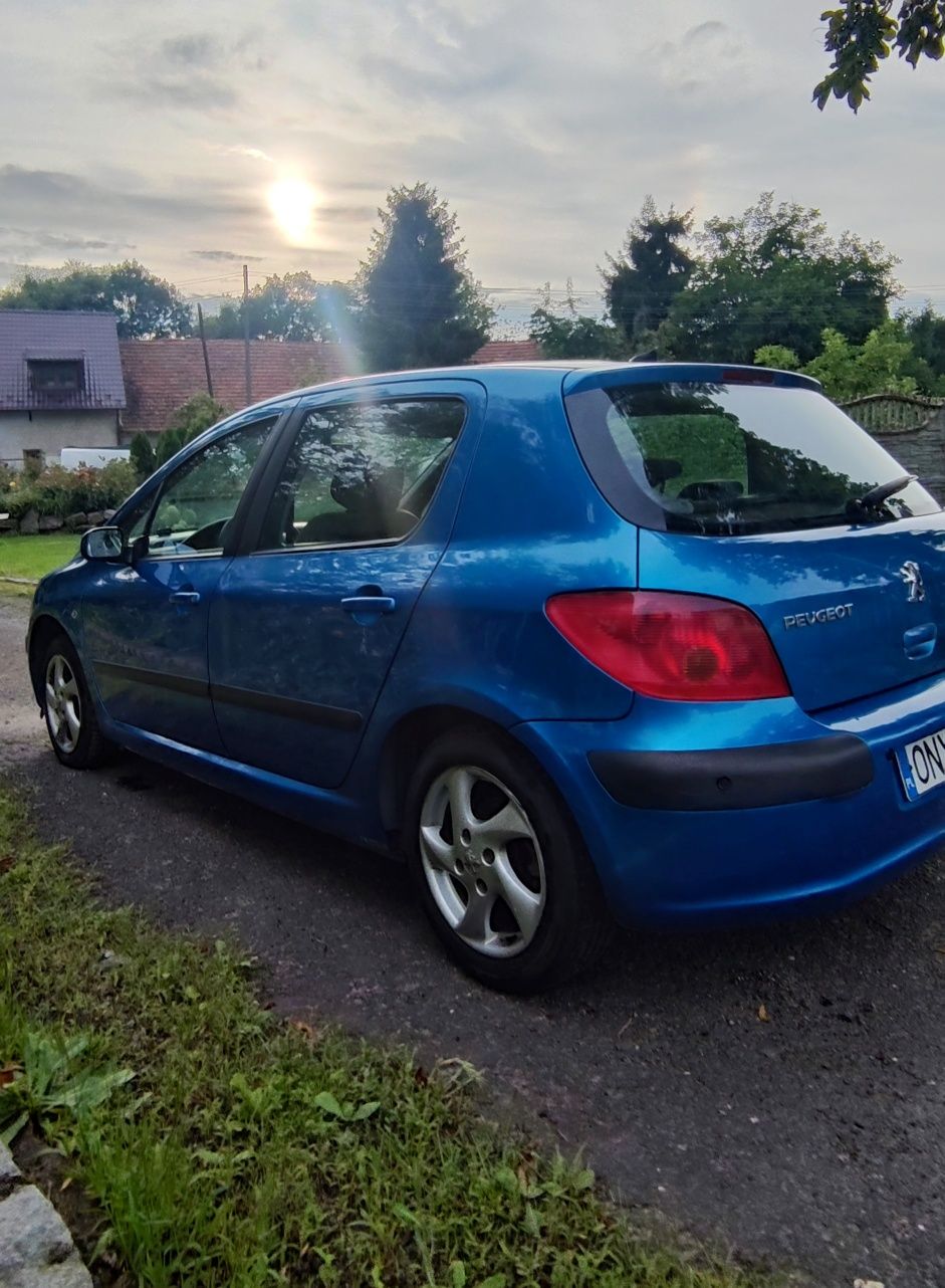 Lew z duszą Pegout 307 1.6 LPG klima - po remoncie silnika