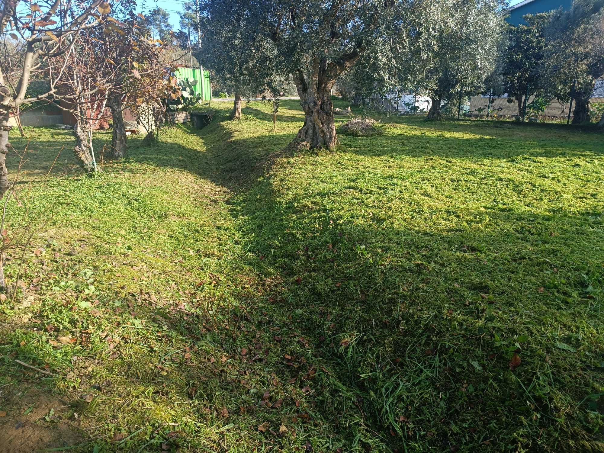 Limpeza e manutenção de terrenos e jardins