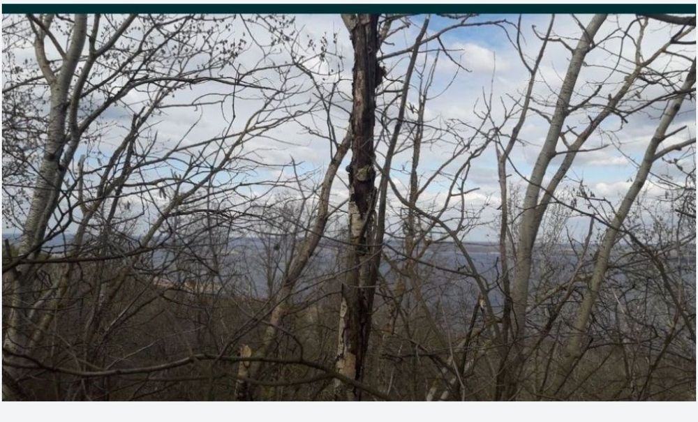 Земельна ділянка на березі Дніпра