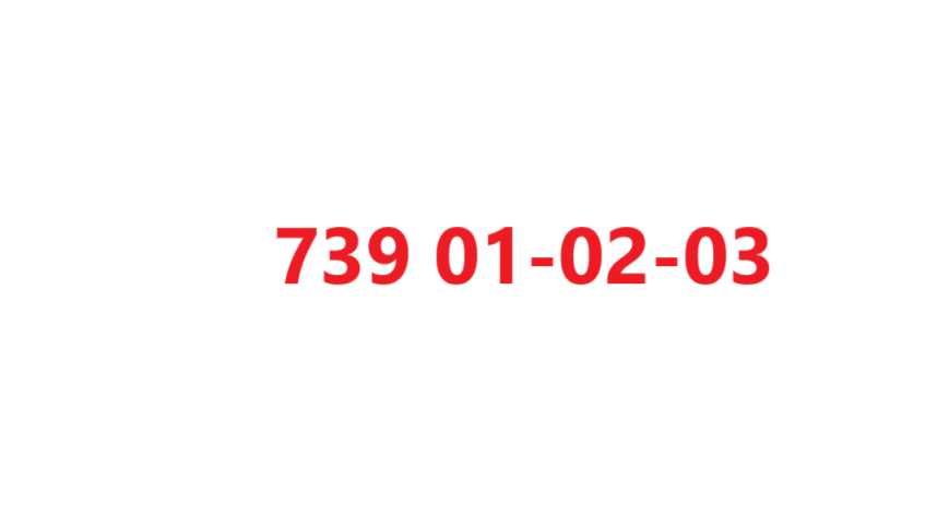 złoty platynowy numer 739.01.02.03