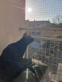 Siatka dla kota , na balkon. Montaż