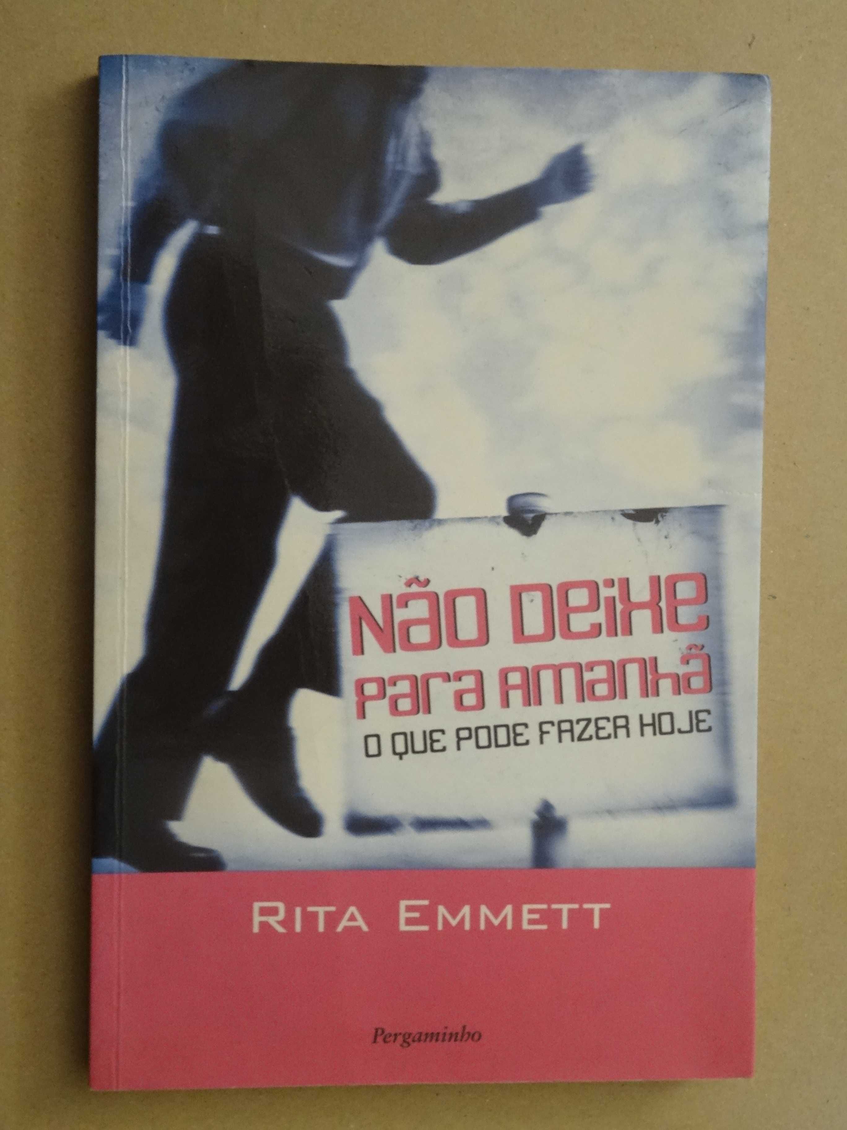 Não Deixe Para Amanhã o Que Pode Fazer Hoje de Rita Emmett - 1ª Edição