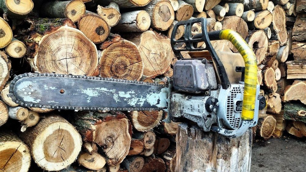 Бензопила Мотор Сич 270