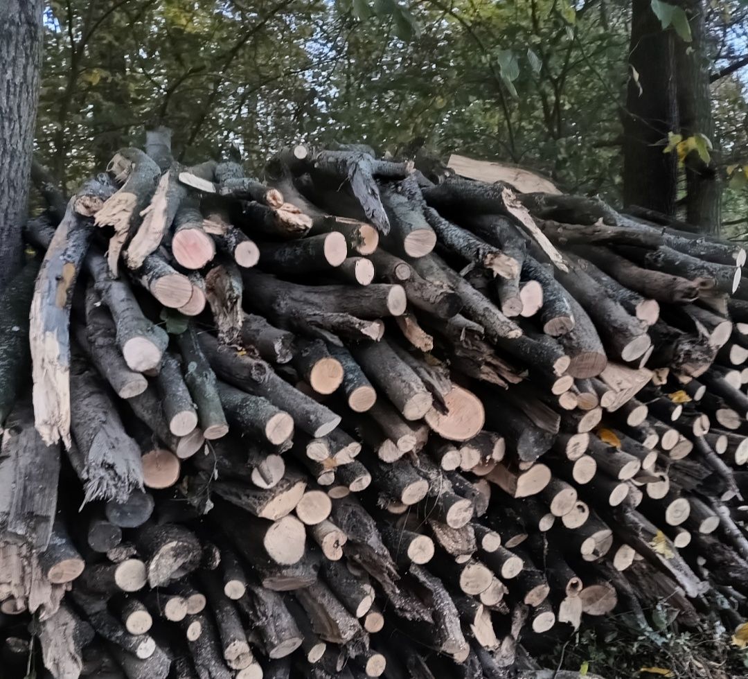 Drewno kominkowe i opałowe sezonowane i gałęziówka