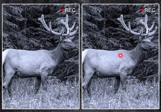 noktowizor R19, kamera noktowizyjna x5 zoom 1080P