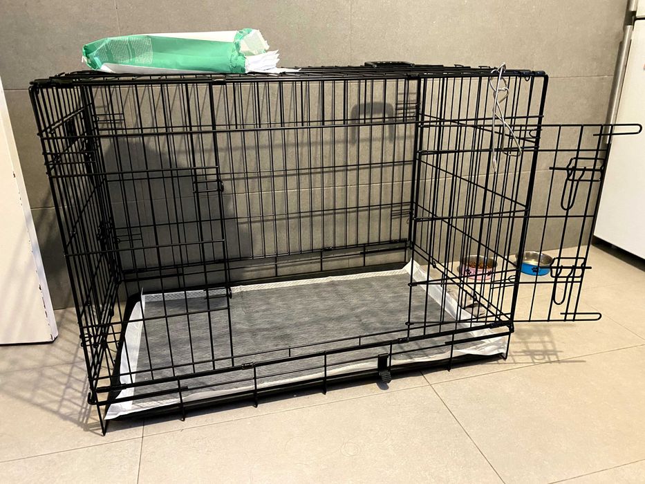 Canil  para cães, interior, exterior