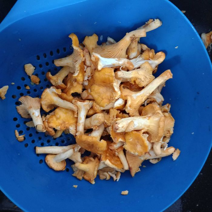 Odrobaczanie naturalna i skuteczna metoda -zapraszam