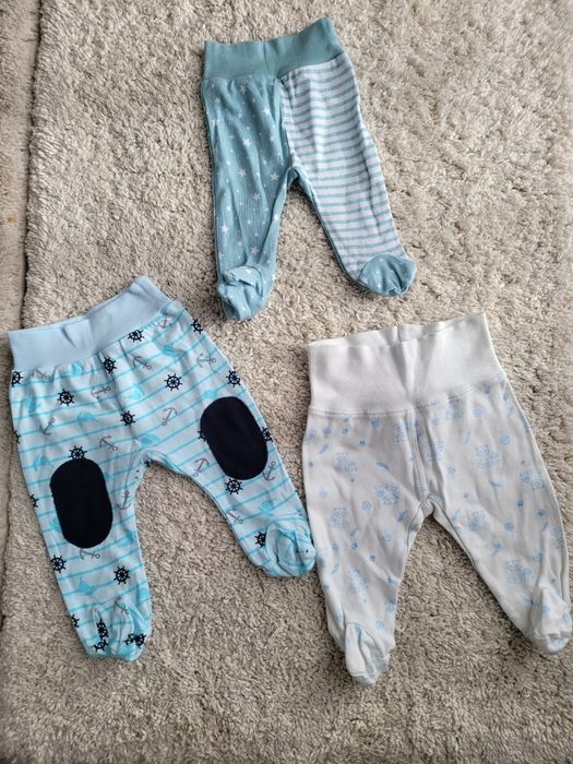 Półśpiochy chłopięce