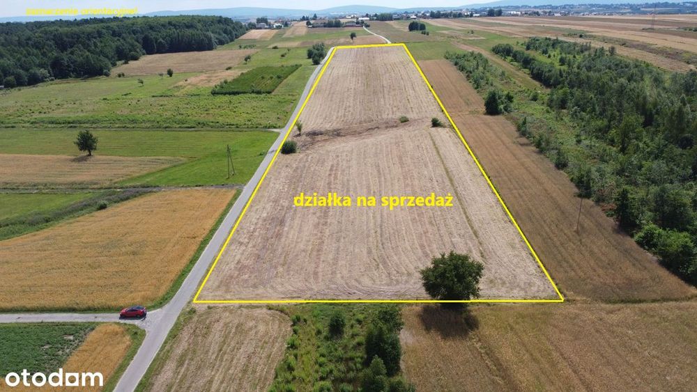 Działka, Dąbrowa