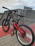 Rower custom mtb