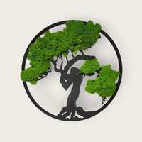 Obraz drzewo bonsai  z mech chrobotek 37x37 prezent zielona dekokarcja