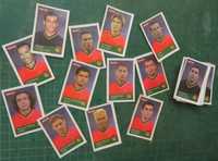 BOLLYCAO - Cromos da Seleção Nacional