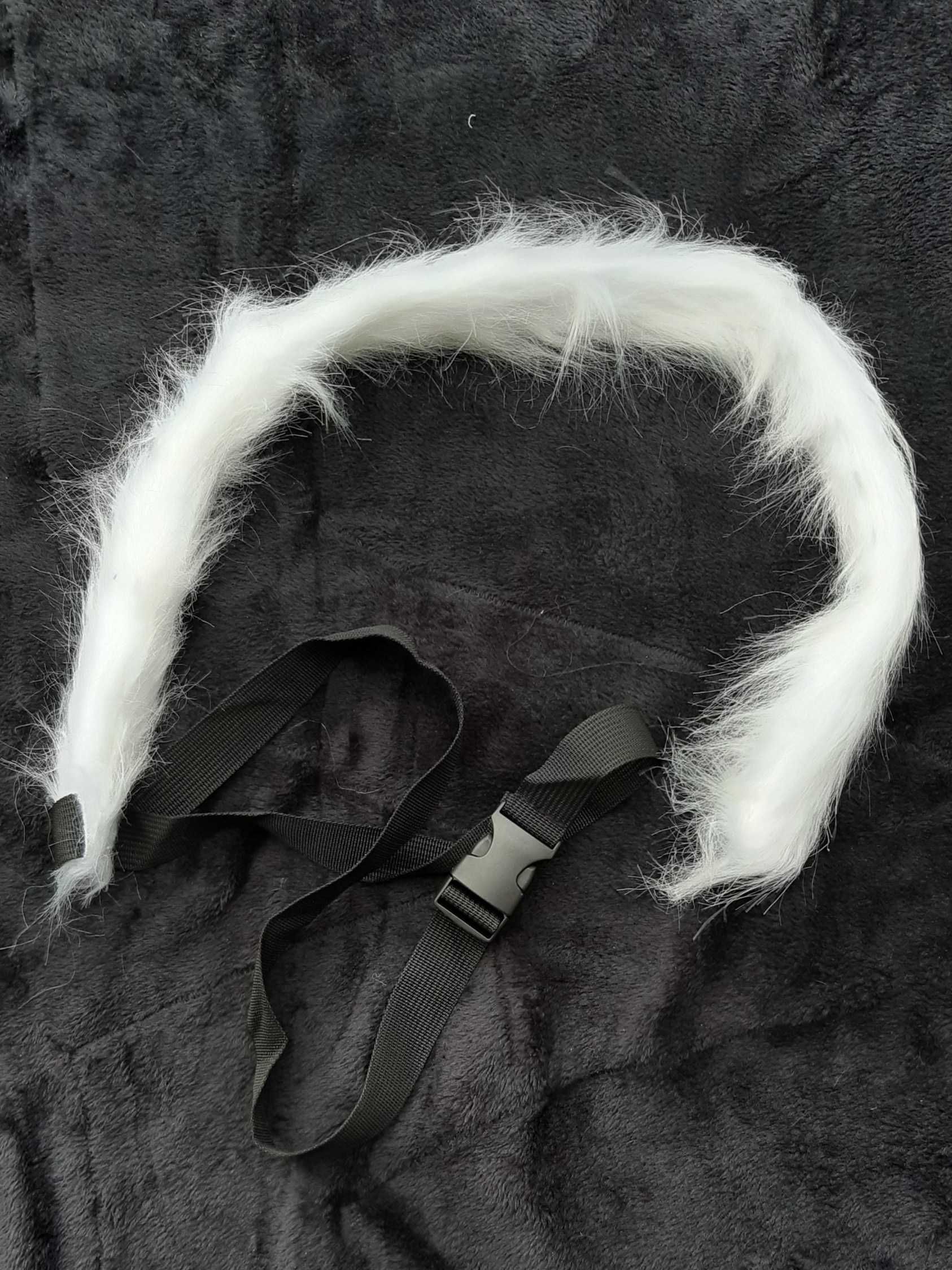 Kostium kota furry therian cosplay kocie uszy ogon obroża kot