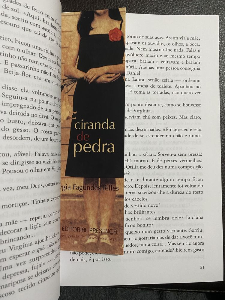 Livro “Ciranda de pedra”