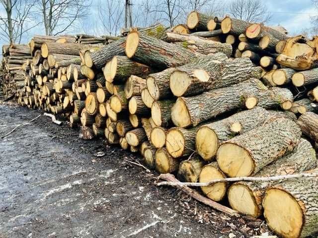 Drewno kominkowe i opalowe, świeże lub suche