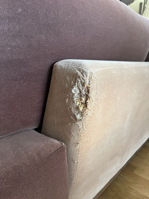 Sofá Castanho com almofadas