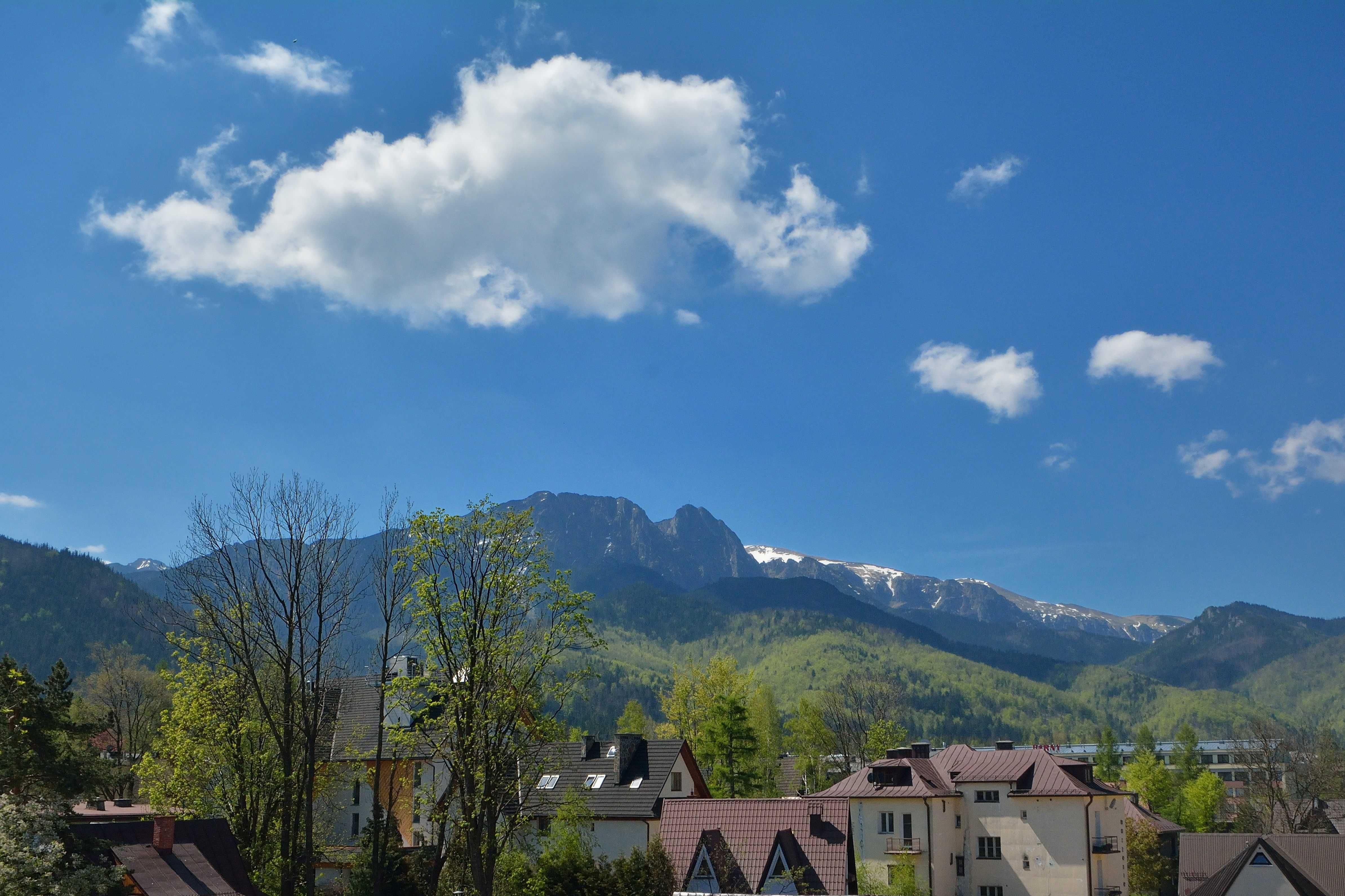 Pokoje Gościnne Bacówka Centrum Zakopane ul. Zamoyskiego 1 A