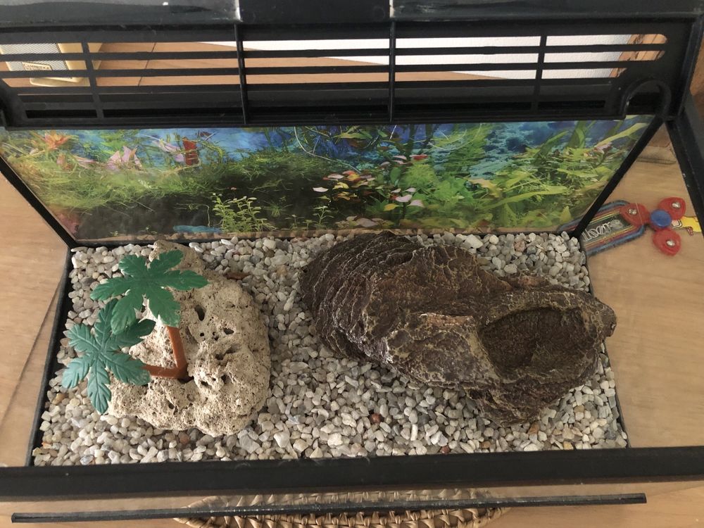 Terrário / Tartarugueira com acessórios