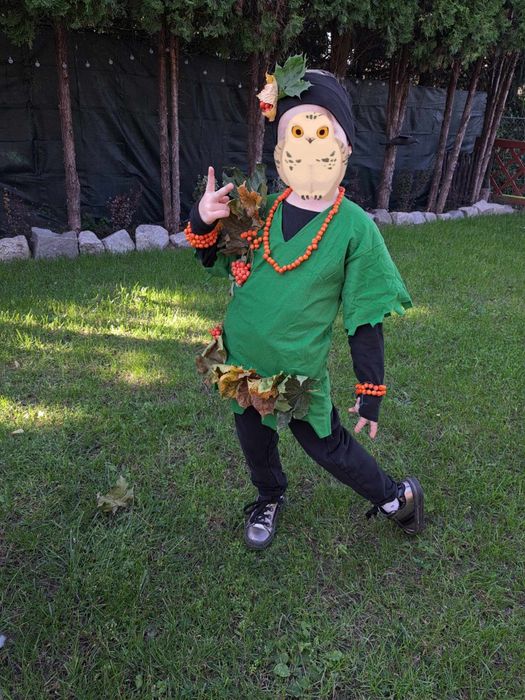 Strój na bal, jarzębina, dinozaur