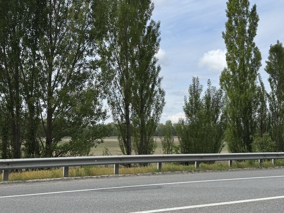 Земельна ділянка.Фасад ! 8га! с.Микуличі