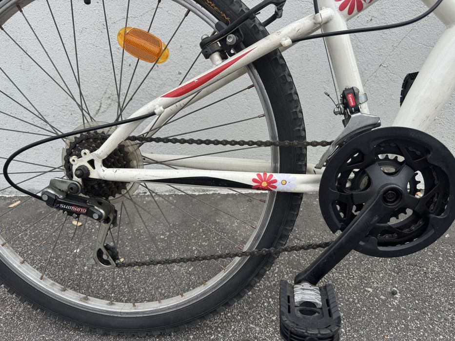 Bicicleta Adulto
