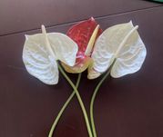 Flores artificiais. Decoração. Muito bom estado.