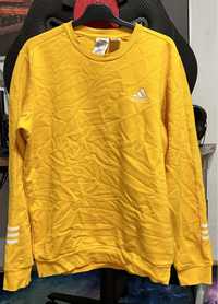 Męska żółta bluza Adidas rozm M