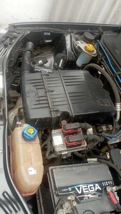 Fiat Albea Sole 2011