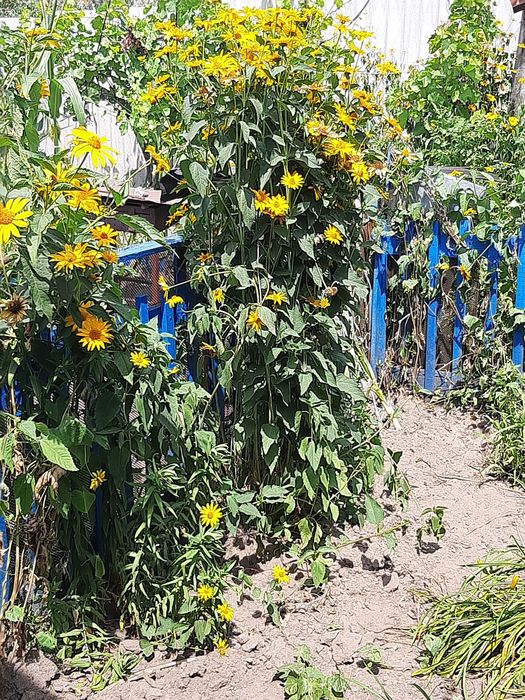 Продам участок под строительство дома
