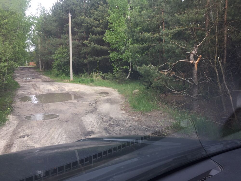 Участок 0.5г с хвойными деревьями в макаровском райне киевской области