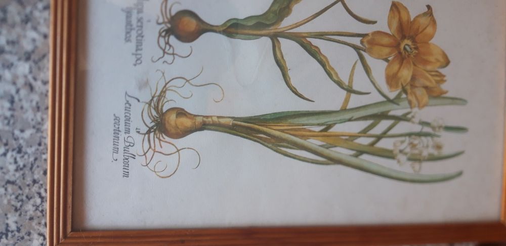 Quadro Antigo Decorativo