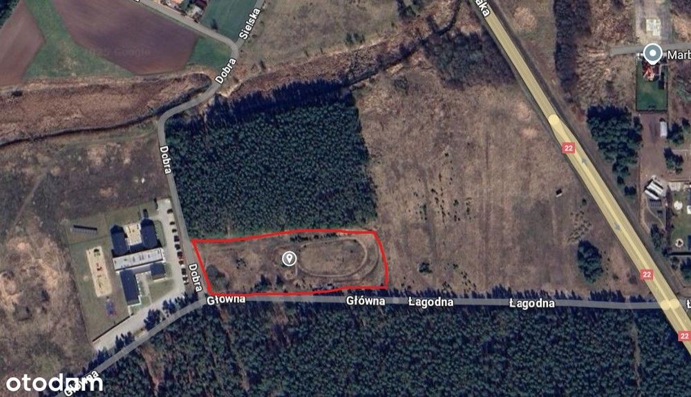 Wydzierżawię działkę o powierzchni 1.03ha pod Gorzowem Wielkopolskim