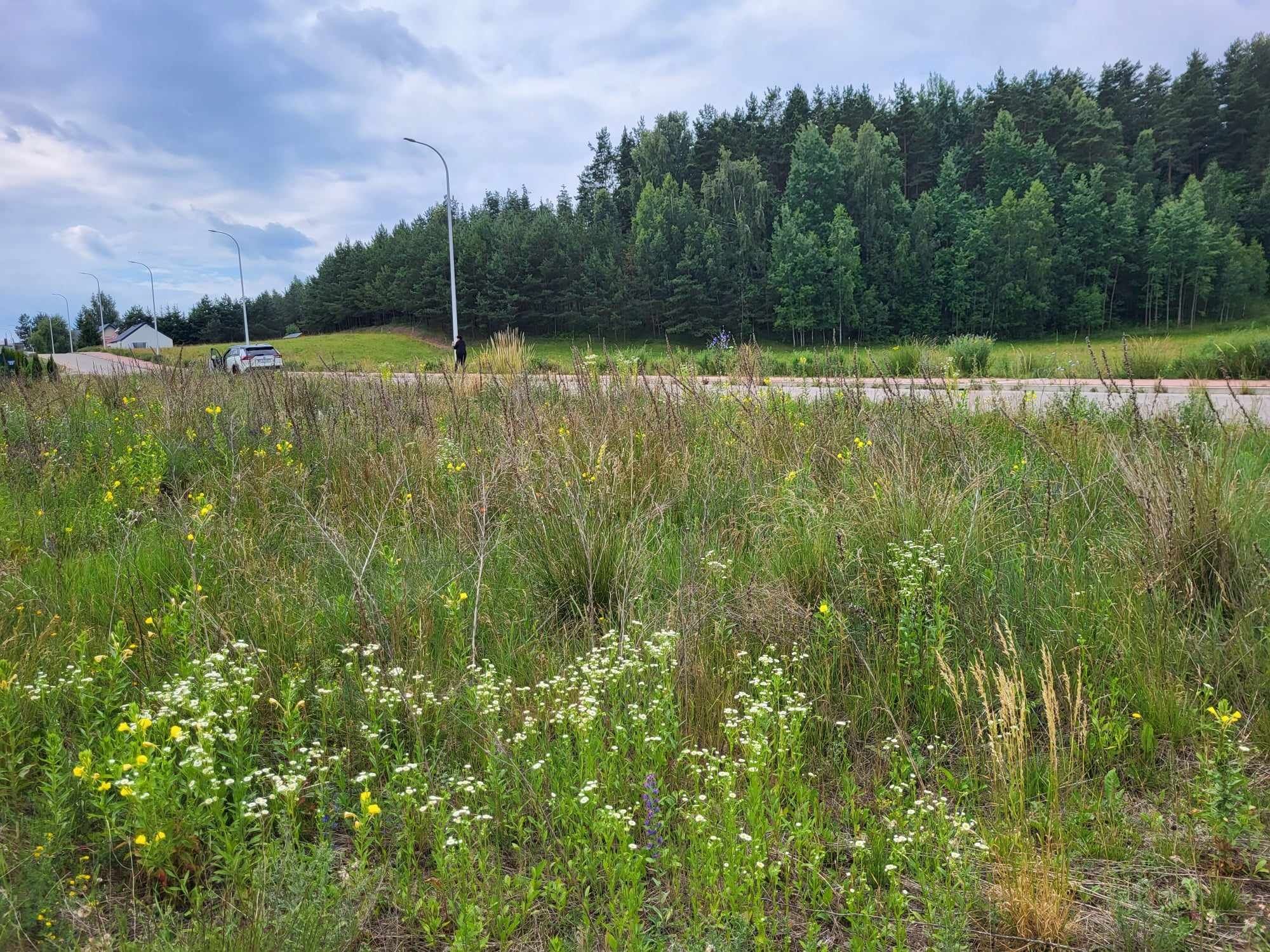 Działka budowlana Okuniowiec k.Suwałk 1480m2.