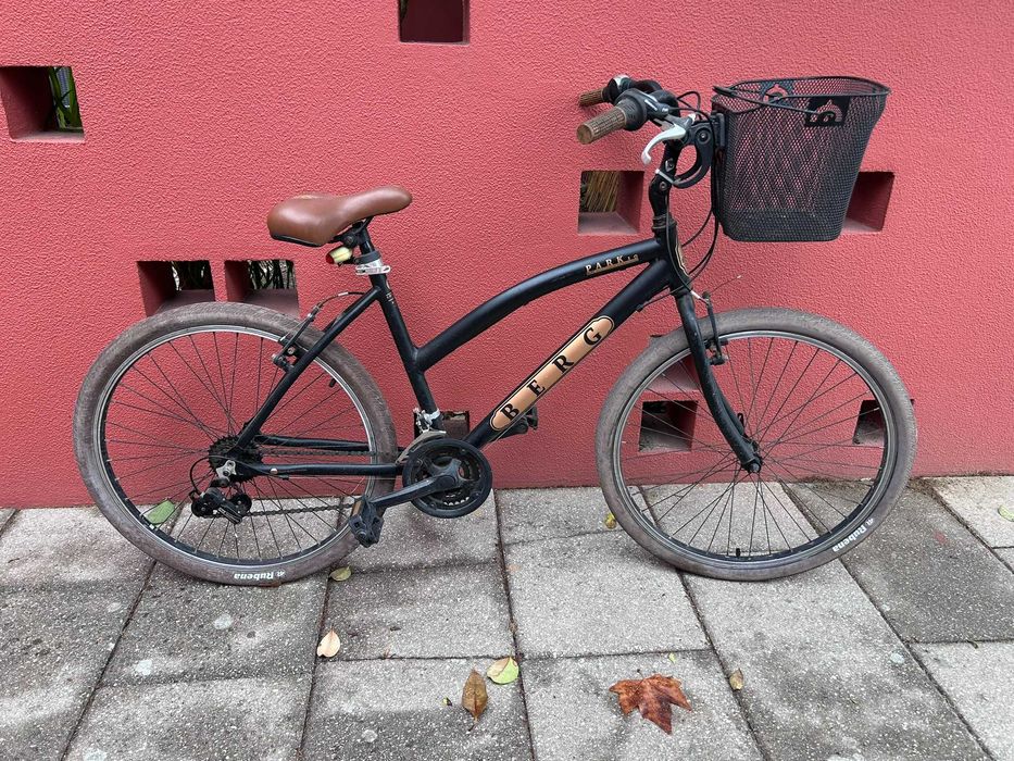 Bicicleta pasteleira Berg Park 10