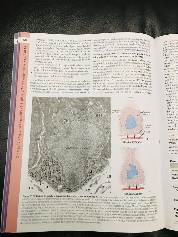 Ross histologia 7 edição