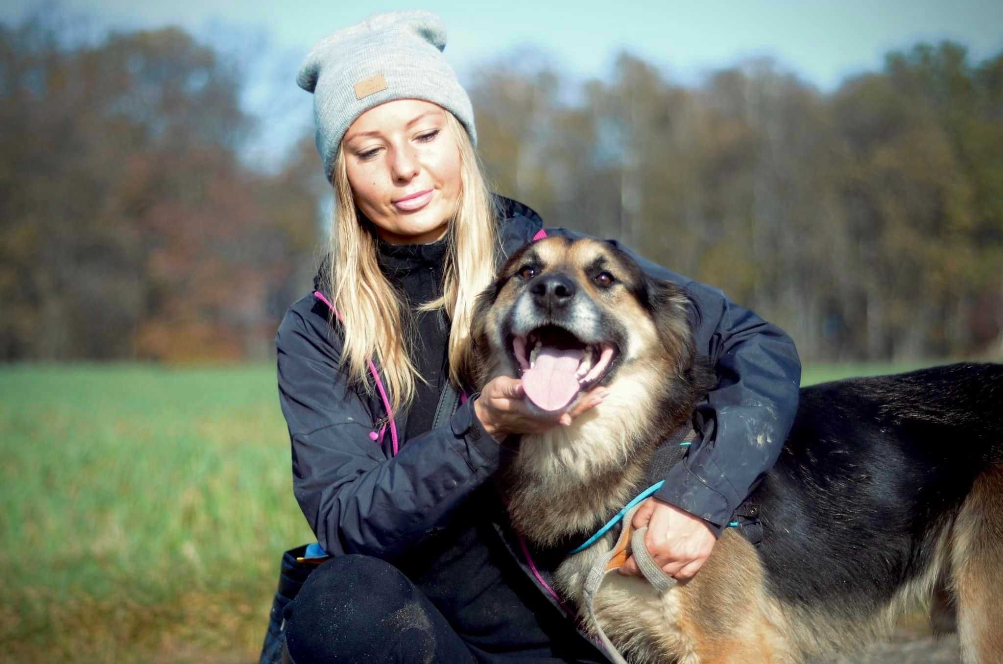 Kornel - pozytywny psiak, idealny kompan spacerów, szuka domu ADOPCJA