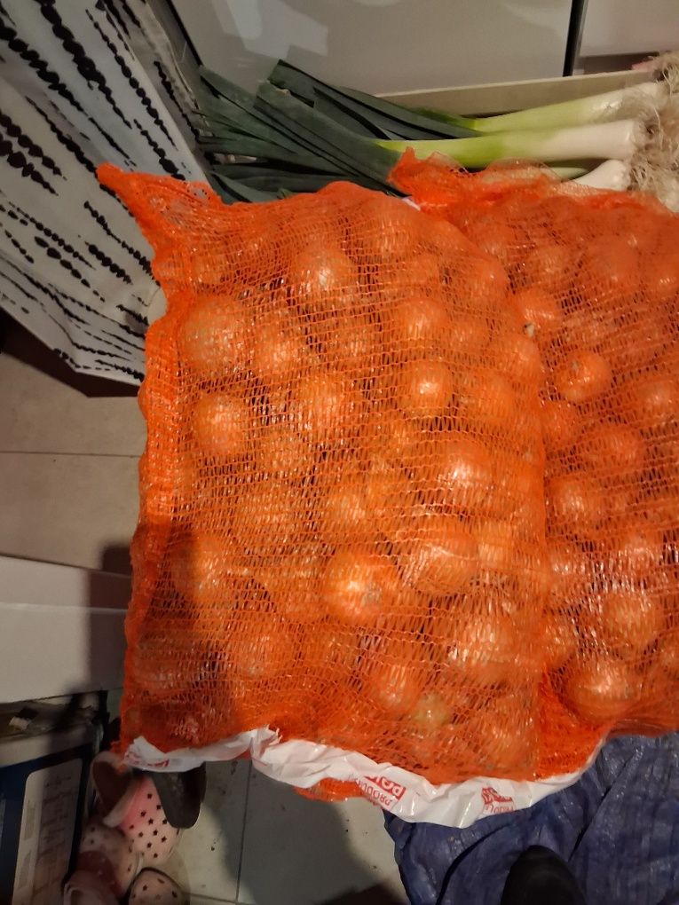 Cebula worek 10 kg