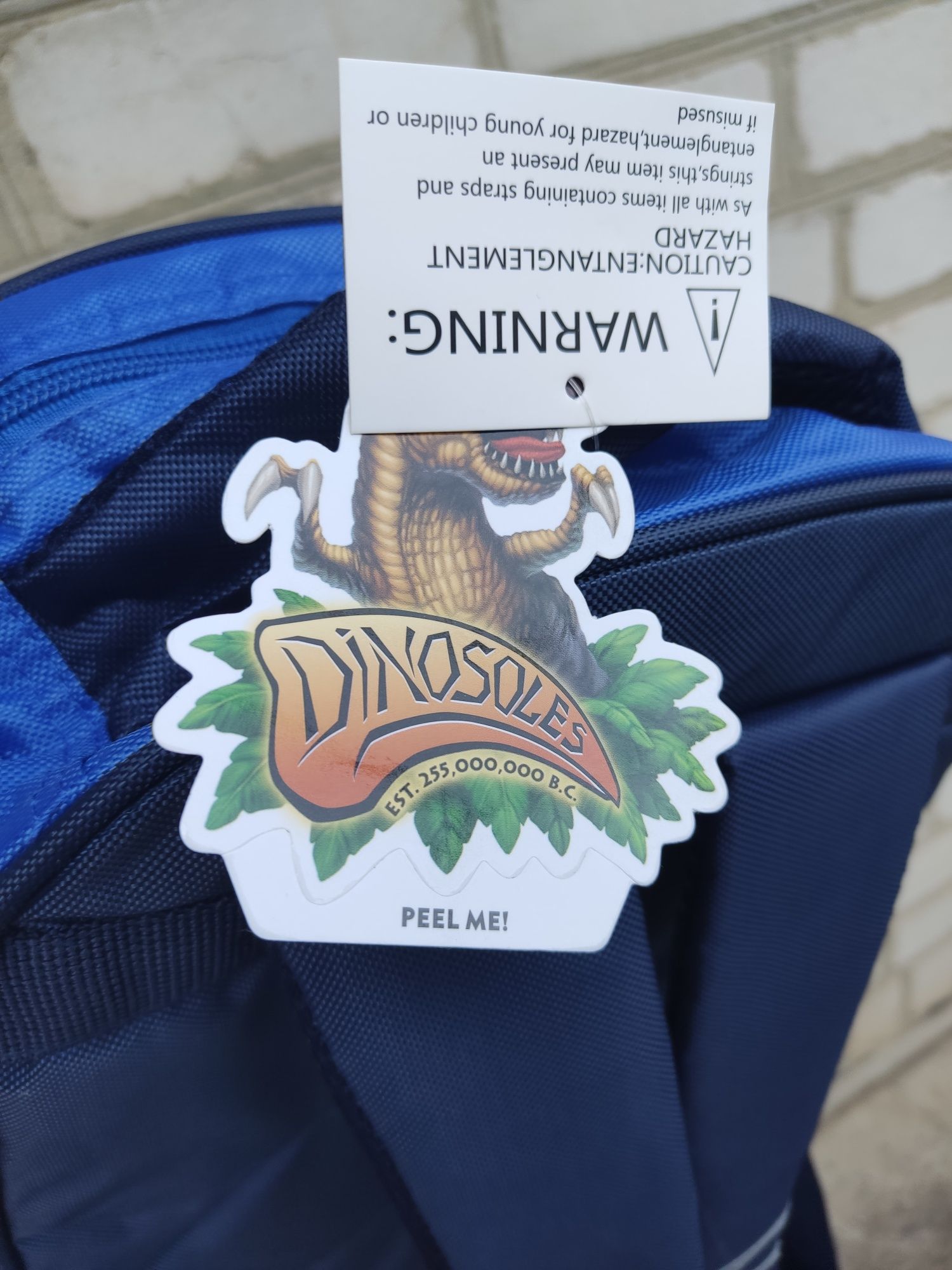 Рюкзак в стиле Дино Dinosoles для мальчика