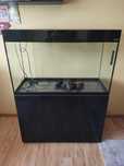 AKWARIUM AQUAEL GLOSSY ST 100 D&N czarny + szafka glossy (Gratisy!!!