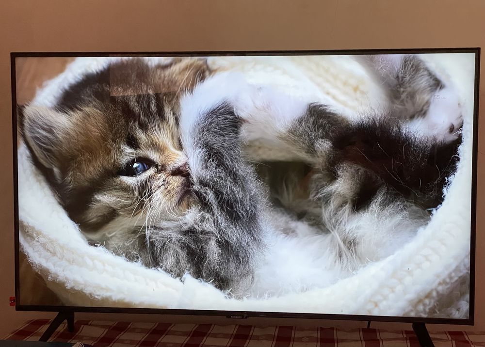 Smart TV Samsung 4K quase nova – ainda com garantia!