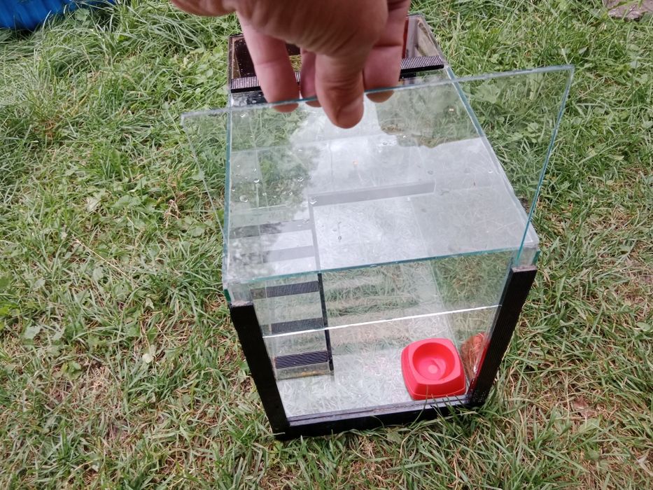 Terrarium 41x25x31