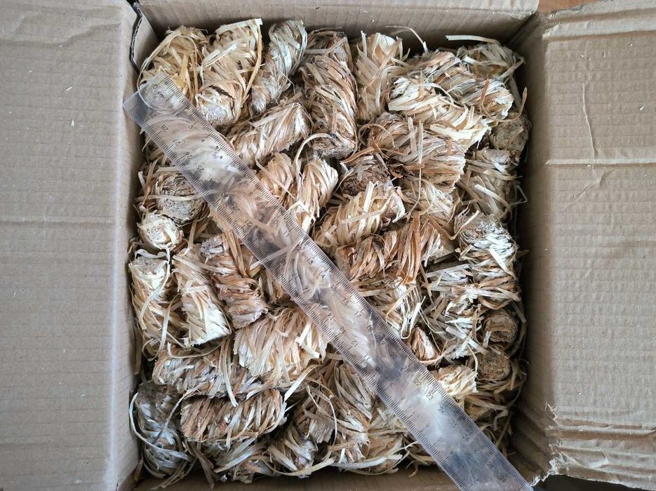 Podpałka EKO z wełny drzewnej i wosku 10 kg – kominek, piec, grill