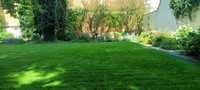 Trawnik trawa z rolki ogród sianie glebogryzarka mechaniczny siew traw