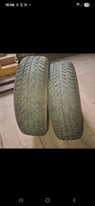 Opony Dębica Frigo r. 15