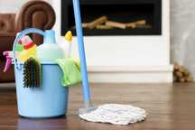 Ofereço os meus serviços  como empregada domestica
