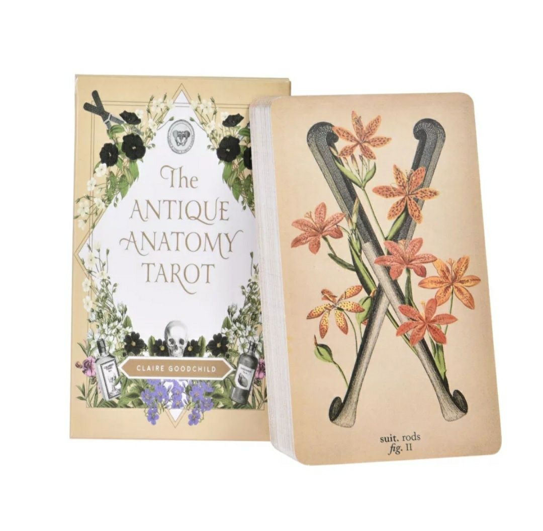 Baralho Tarot The Antique Anatomy