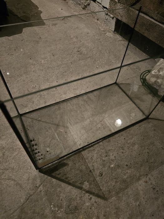 Akwarium dla rybek chomika