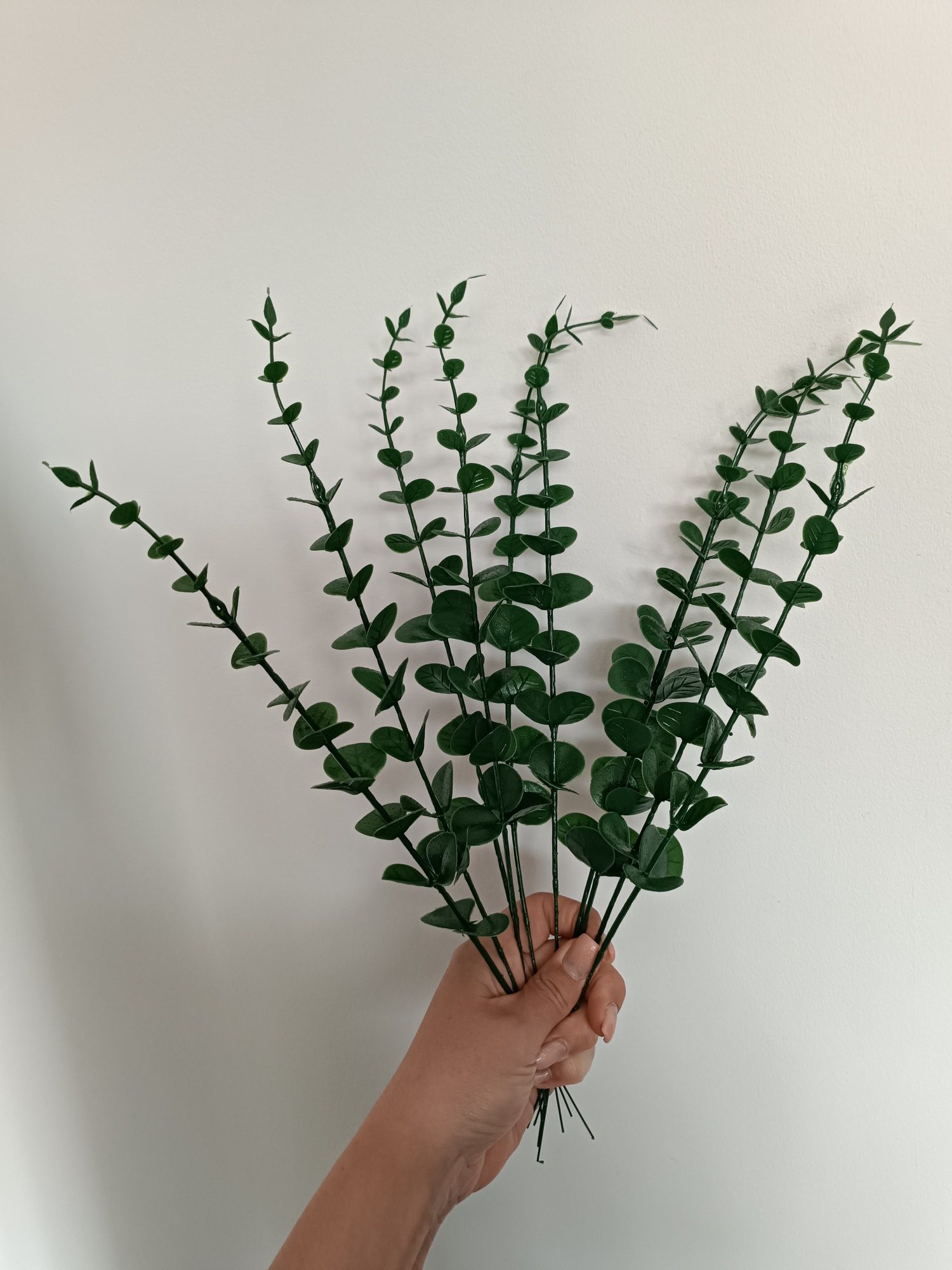 Nowe liście eukaliptus zestaw do wazonu Boho home&you