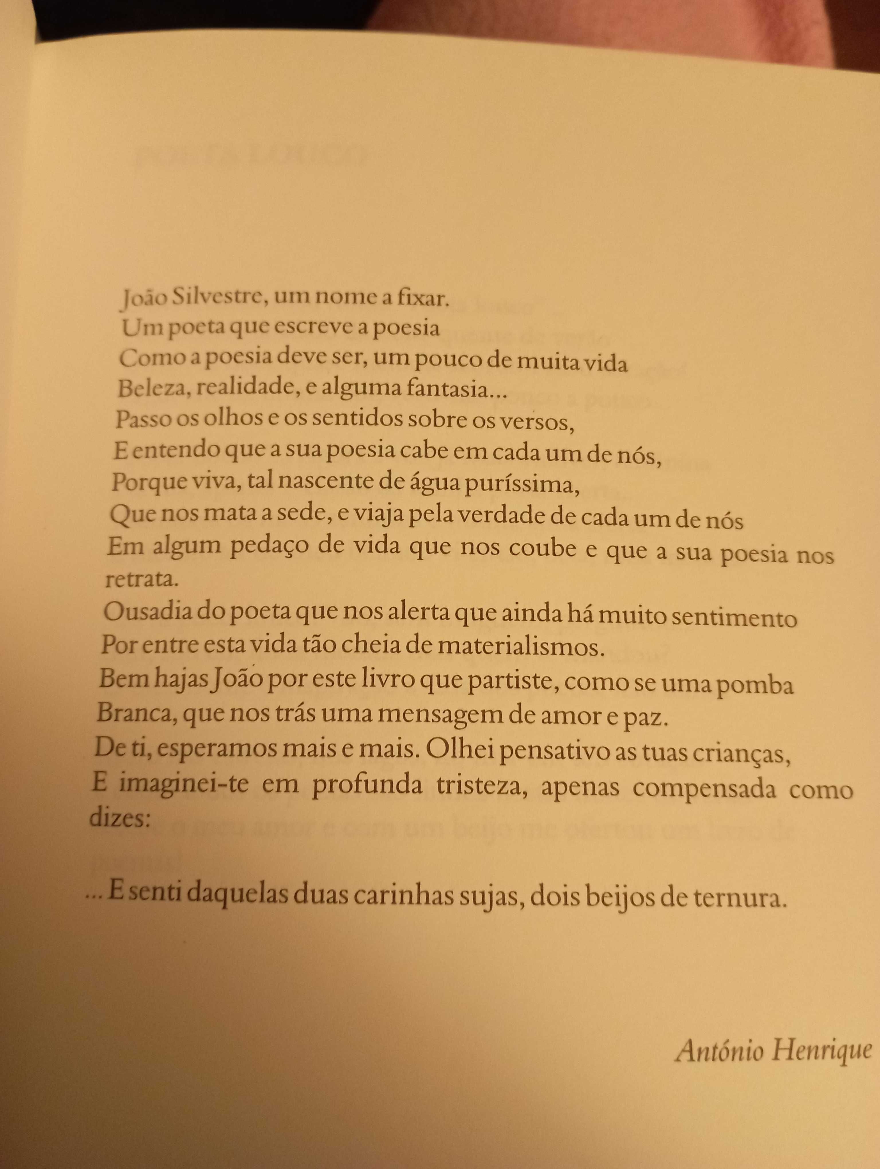 Poesia Mar dos Sonhos de João Silvestre