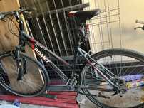 Rower damski polecam
